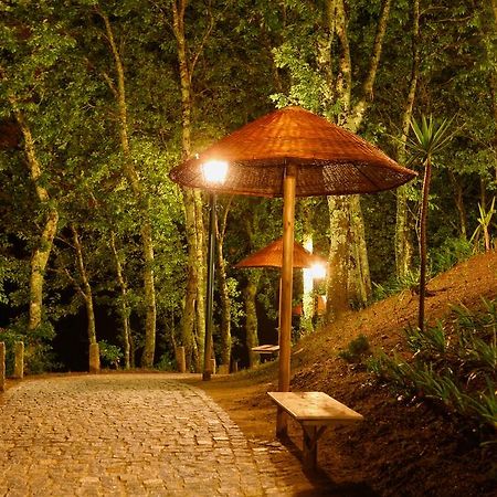 Quinta Da Costa Villa Vila da Lixa Bagian luar foto